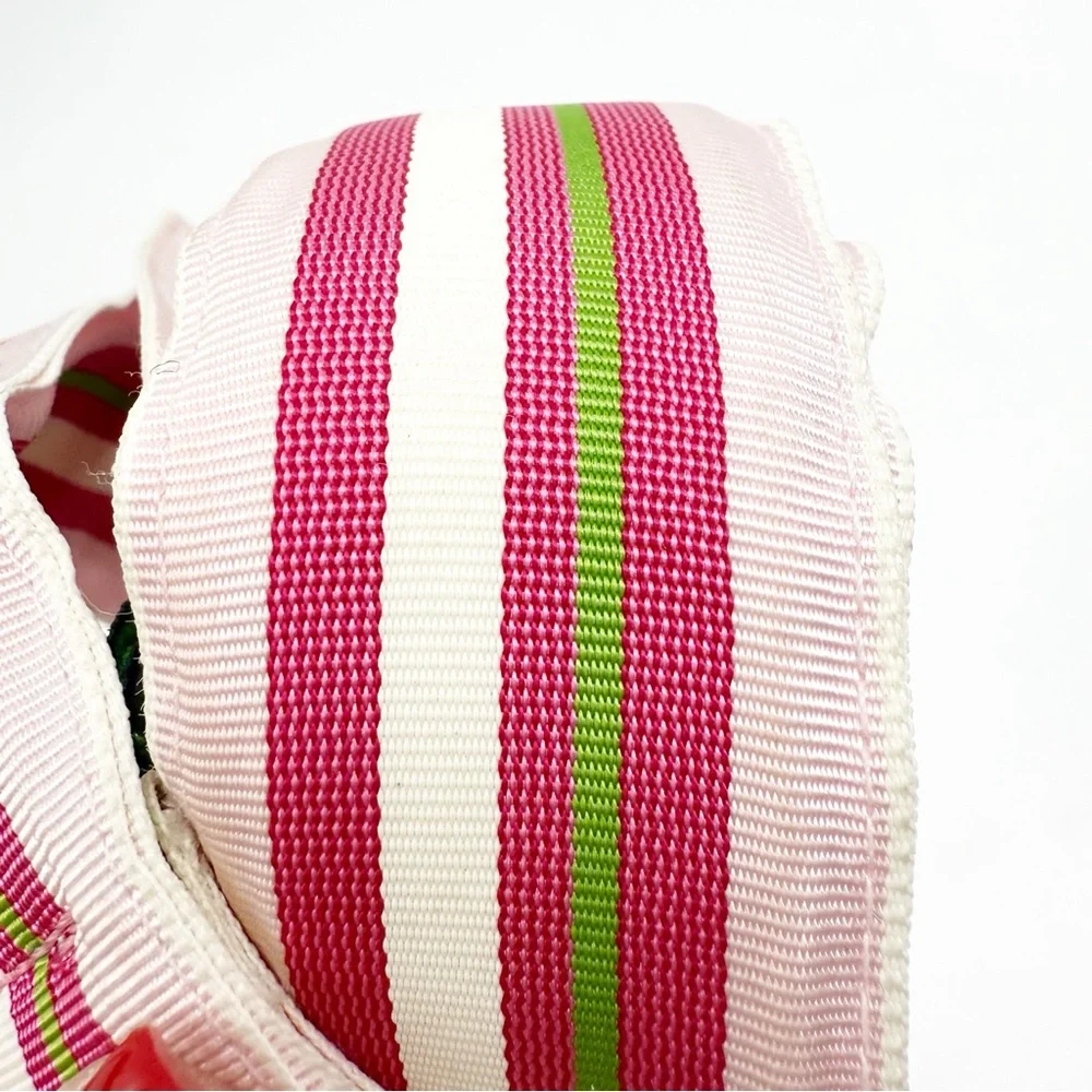 CK Bradley Pinks and Green Striped Ribbon Belt with Silver Buckle, Size Medium